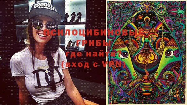 мяу мяу мука Алзамай