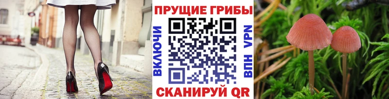 Галлюциногенные грибы мухоморы  Ивдель 